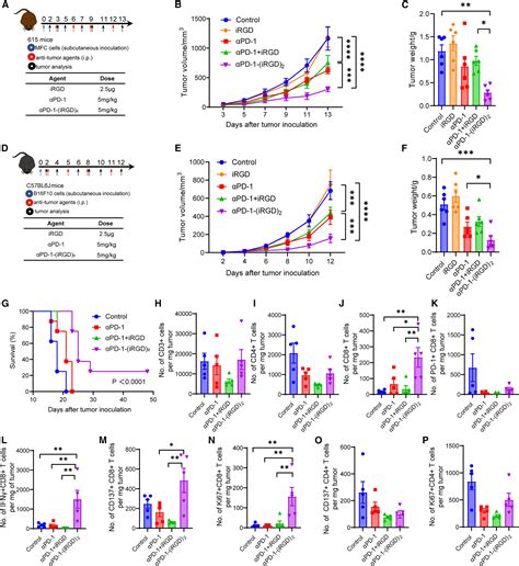 Glycoengineering Based Anti Pd Irgd Peptide Conjugate Boosts