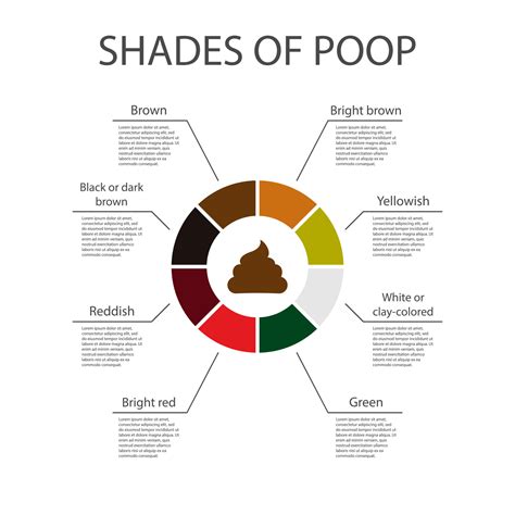 Shades of color poop chart. Poop icon. Human feces color. Healthy ...