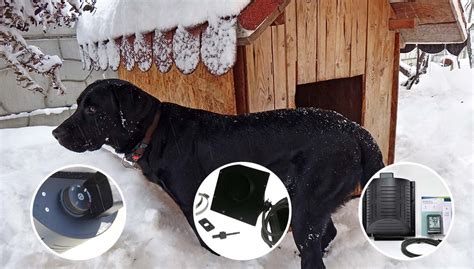 7 Best Dog House Heaters and Furnaces for Cold Winters in 2020