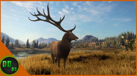 We Can Finally Hunt The Roosevelt Elk Again Call Of The Wild Youtube