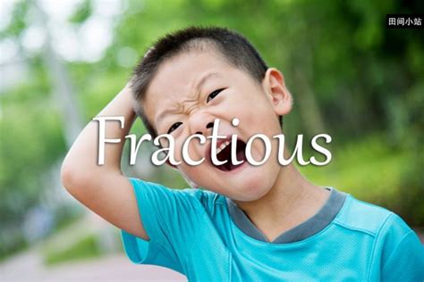 小词详解 Fractious 英文之旅