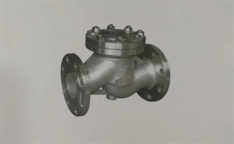 Piston Valve Steel Piston Lift Type Check Valve Manufacturer From Ahmedabad