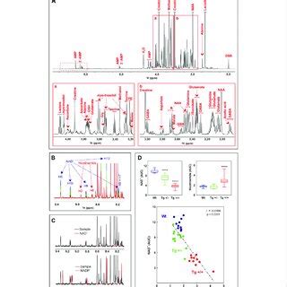 Untargeted H Nmr Metabolomics Of Hippocampus Of Ad Like Amyloid