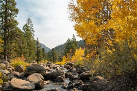 El Dorado County Road Trips: Leaf Peepers - Visit El Dorado