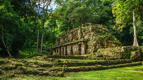 Yaxchilán Notre guide Guide pour visiter cette cité maya perdue