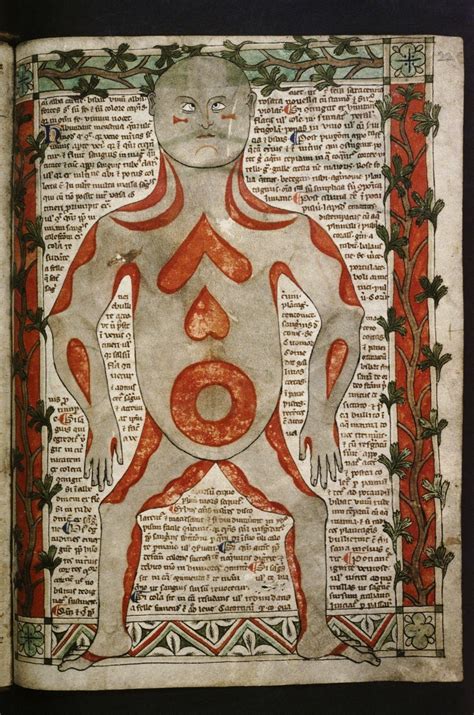 Course Documents - CLAS 3239 | Ancient Medicine: The Classical Roots of ...