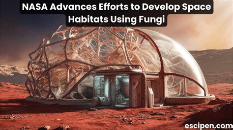 NASA Advances Efforts To Develop Space Habitats Using Fungi | The Power ...