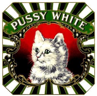 Pussy White T ShirtYowzers February 13 2024