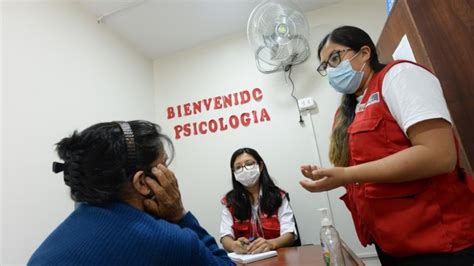 Más De 160 Mil Personas Fueron Atendidas Por Los Centros De Emergencia Mujer Y El Servicio De