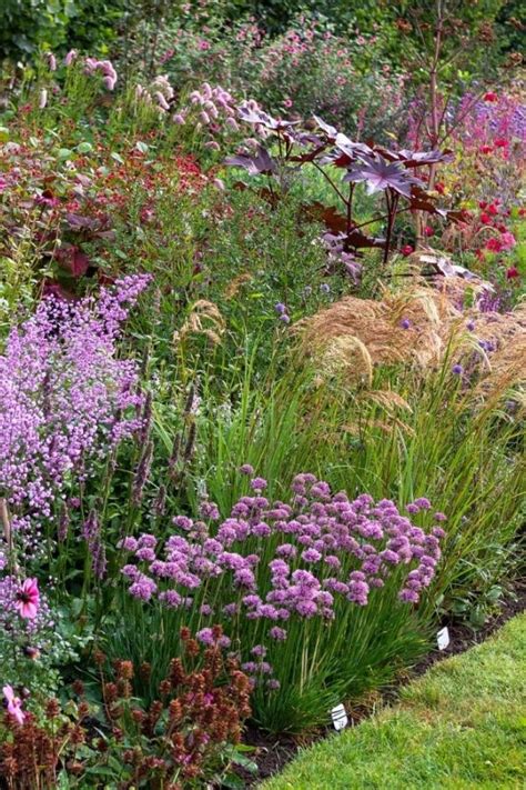 Brilliant garden border inspiration - how to choose colours, shapes ...