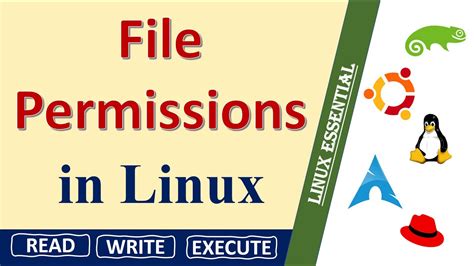 Understanding Permissions For Files And Directories Read Write