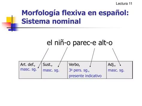 Ppt Morfolog A Flexiva En Espa Ol Sistema Nominal Powerpoint