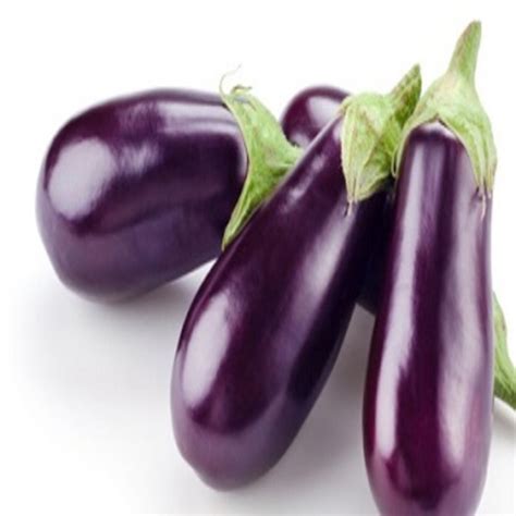 Healthy Delcious Natural Rich Fiber Fine Taste Purple Fresh Brinjal At