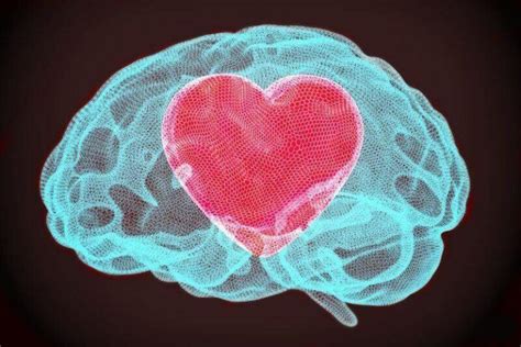 Oxytocin: The Love Hormone | Why We Need It | How We Can Get It