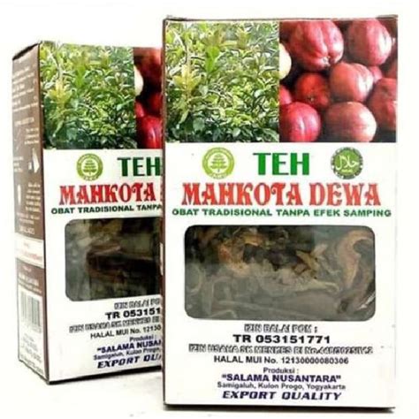 Promo Teh Mahkota Dewa Salama Nusantara Herbal Anti Tumor Diskon Di