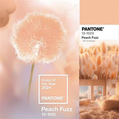 Pantone Color Of The Year 2024 Peach Fuzz What Trends Do We Predict