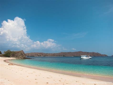 Pink Beach: Snorkeling on Komodo Island - Go Backpacking