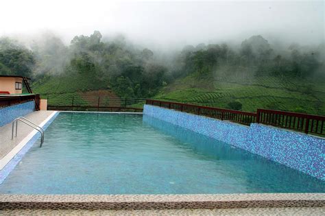 Fotos Y Opiniones De La Piscina Del The Misty Gate Hotel Tripadvisor