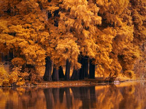 Autumn 4k Wallpapers - Wallpaper Cave