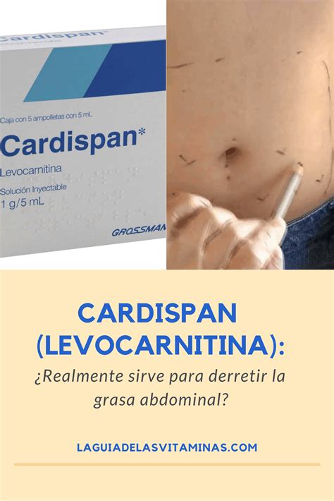 77 Cardispan levocarnitina para qué sirve beneficios precios y