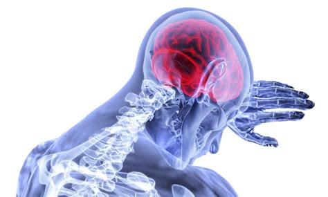 brain damage brain injury common  types  effects