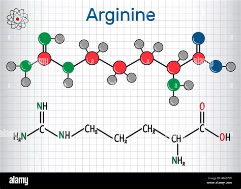 Arginina Arg R Aminoacido Molecola è Utilizzato Nella Biosintesi