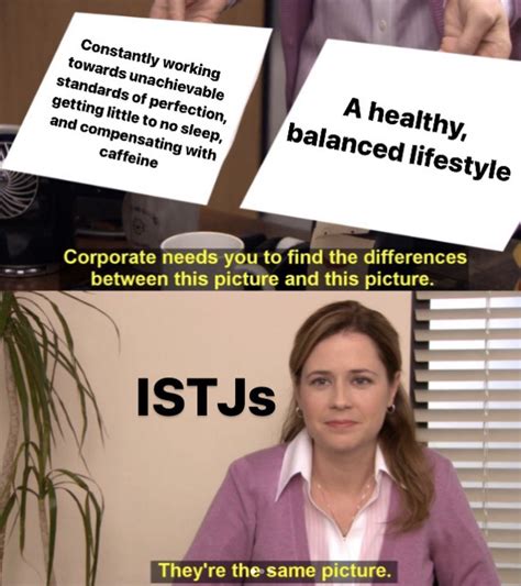 28 Funny Memes Any Istj Will Relate To So Syncd