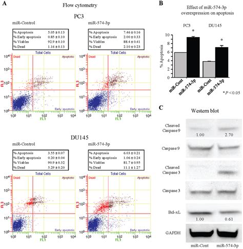 Effect Of Mir 574 3p Overexpression On Pca Cell Proliferation Download Scientific Diagram