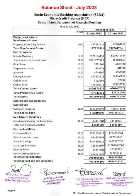 Balance Sheet Seba