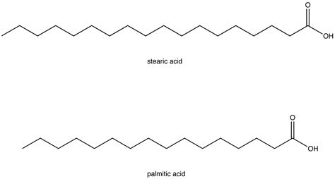 Saturated Fatty Acid - Chemistry LibreTexts