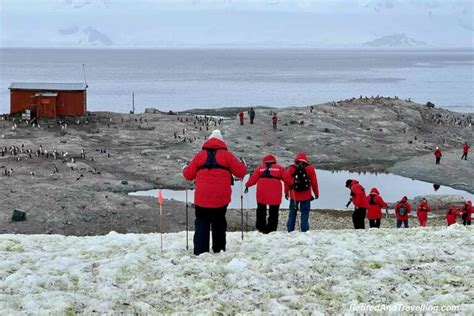 Day Trip Expedition Adventures On An Antarctica Cruise - Retired And ...