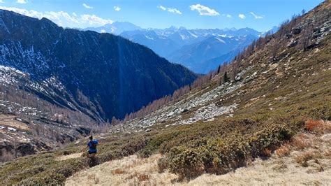 Verso Il Sentiero Per L Alpe Menta Fotos Hikr Org