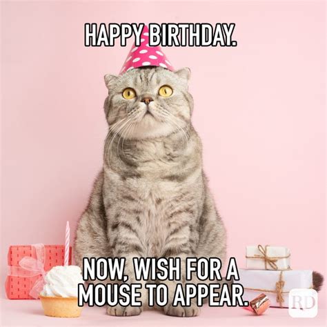 40 of the Funniest Happy Birthday Memes | Reader's Digest