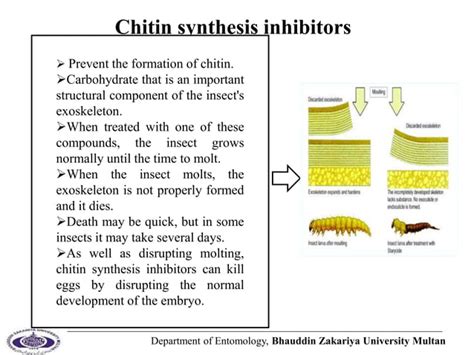 Insect Growth Regulator Ppt