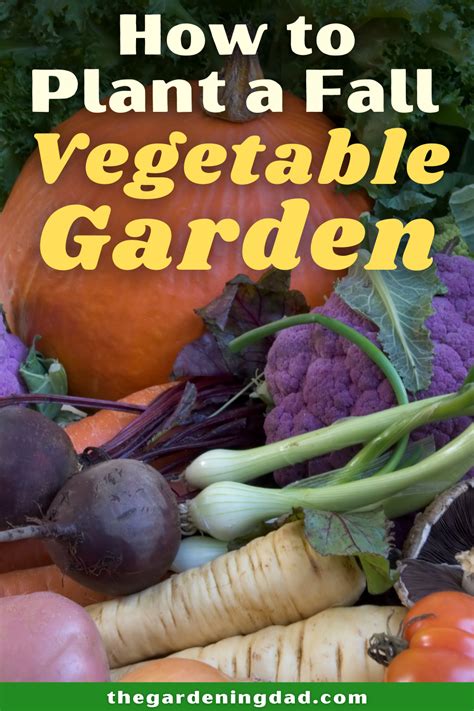 Best Fall Garden Vegetables For Beginners Fall Garden Vegetables