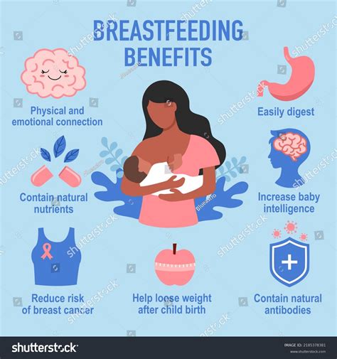 Breast Feeding Benefits Infographic Useful Advices Stock Vector