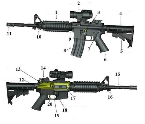 M4 Nomenclature Part 3 Diagram Quizlet