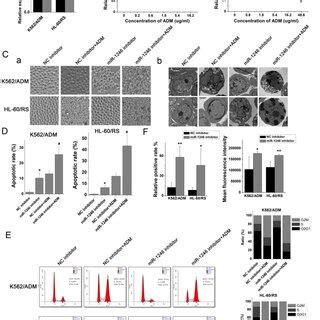 Loss Of MiR 1246 In Drug Resistant Leukemia Cells Could Improve Their