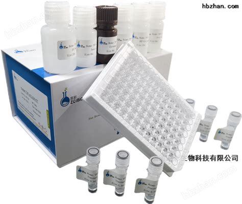 小鼠绒毛膜促x腺激素β（β Hcg）elisa Elisa试剂盒 上海茁彩生物科技有限公司