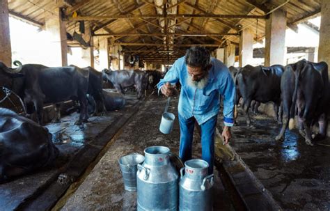 Photos The Invisible Urban Farmers Of Mumbai