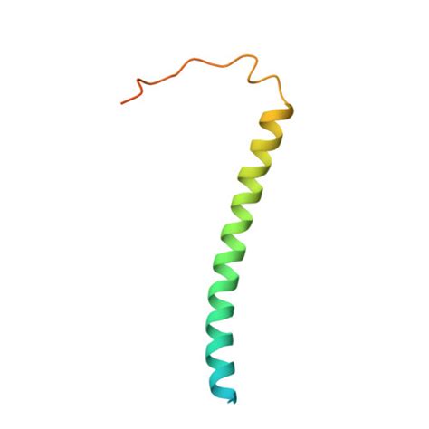 Rcsb Pdb F L Structure Of Photosynthetic Lh Rc Super Complex Of