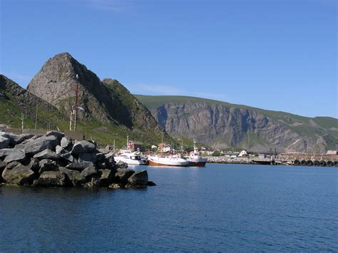 Sailing expedition and Whale safari on Vesterålen | SeaWind Adventures