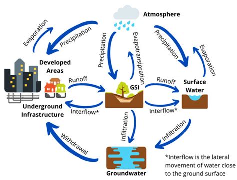 Water Free Full Text It Is Not Easy Being Green Recognizing