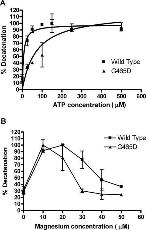 A Dependence Of Decatenation Activity On Atp Concentration Protein