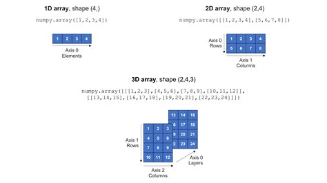 NumPy For Arithmetic Operations Python For BIOC0029