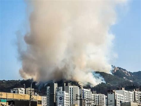 인왕산 화재 25시간 만에 완진원인 조사 중 네이트 뉴스