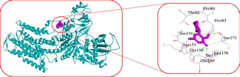 The D Structure Left And D Schematic Diagram Right Of The Atp A