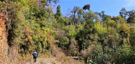 An offbeat trek to Talle valley wildlife sanctuary in Ziro