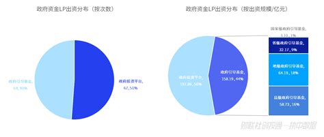 中国私募股权投资基金lp月报（2024年6月）：山东能源集团有限公司出资最高，中金资本最受青睐基金新浪财经新浪网