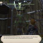 So what do I do with these cascadier uniform voucher? : r/ffxiv